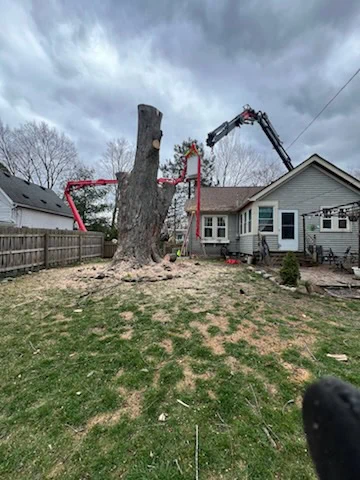 Land clearing process improving property conditions in White Lake, MI for better land use.