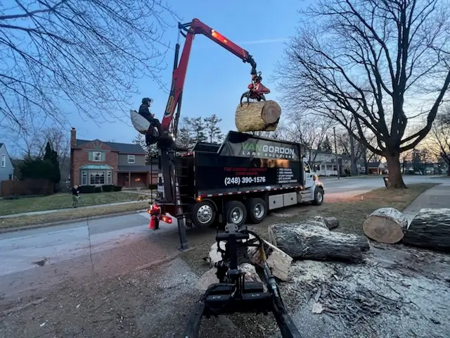 Tree Service in White Lake, MI