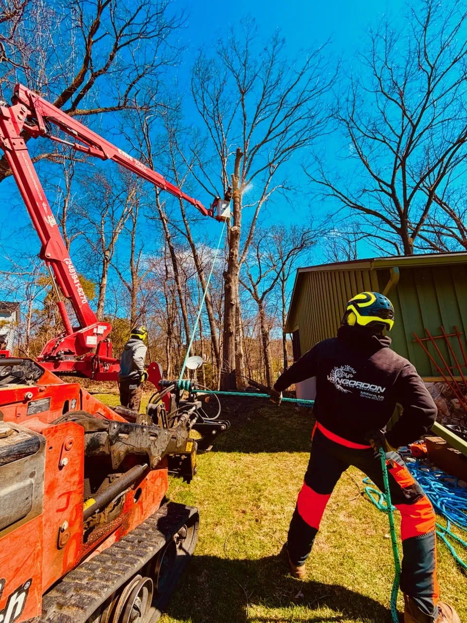 Crane-assisted tree removal on steep slope near lake in Milford MI