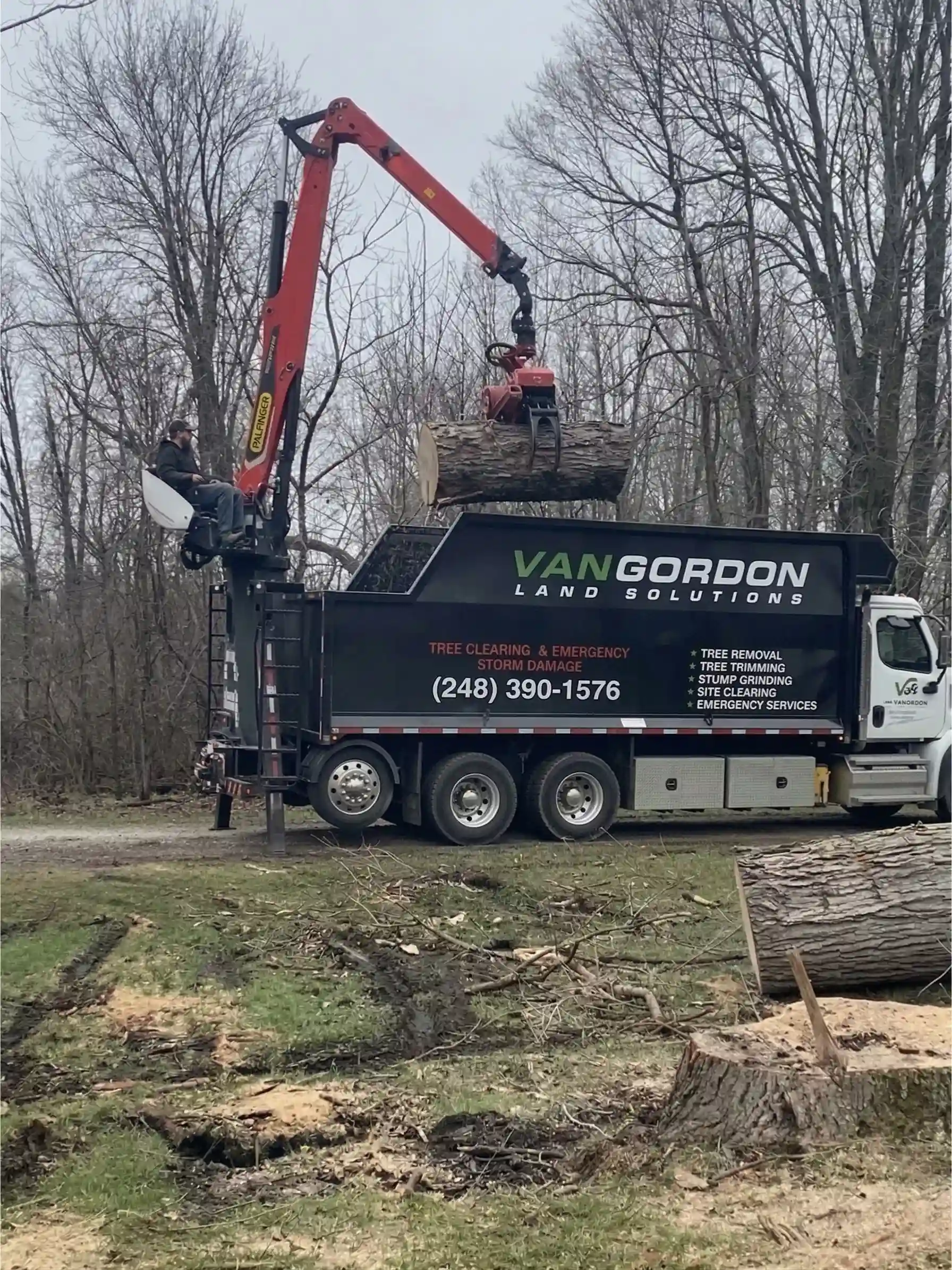 Multiple tree removal project in Milford MI with full cleanup
