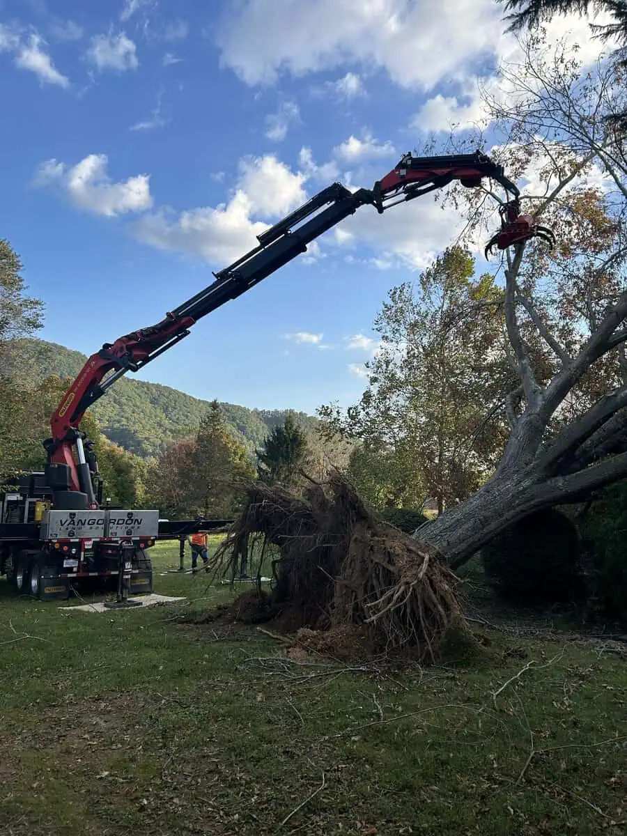 Top-rated Tree Service in Howell MI | VanGordon LLC