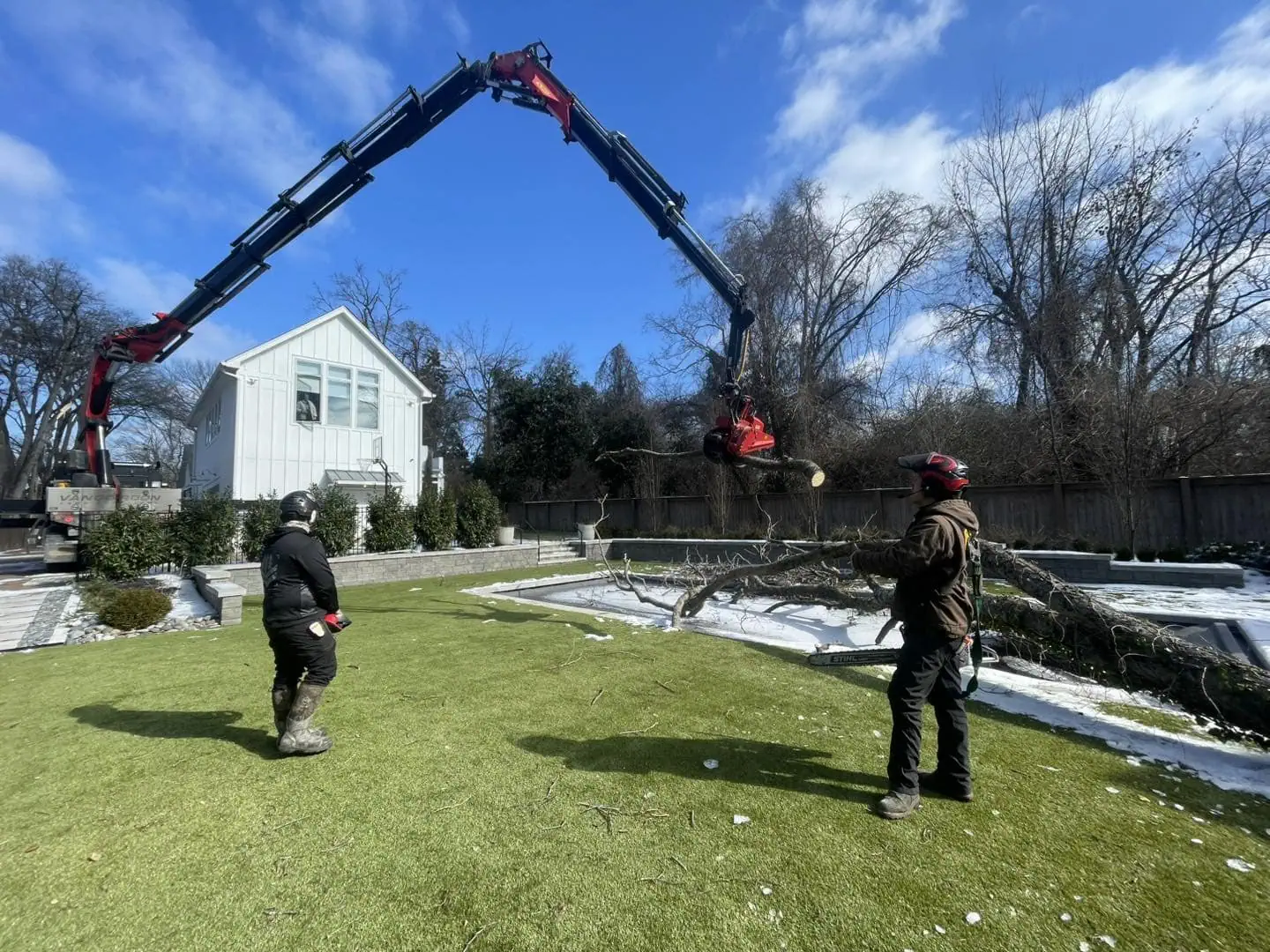 Tree removal between two houses in Milford MI with full cleanup