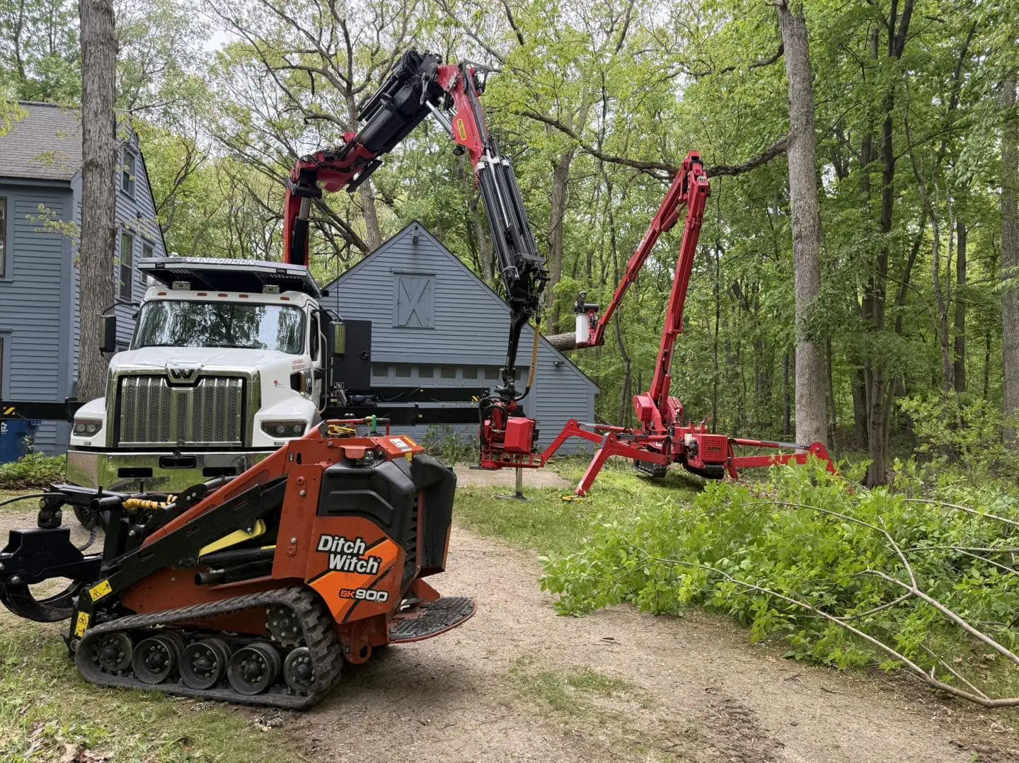 Tree trimming with professional equipment in Milford MI