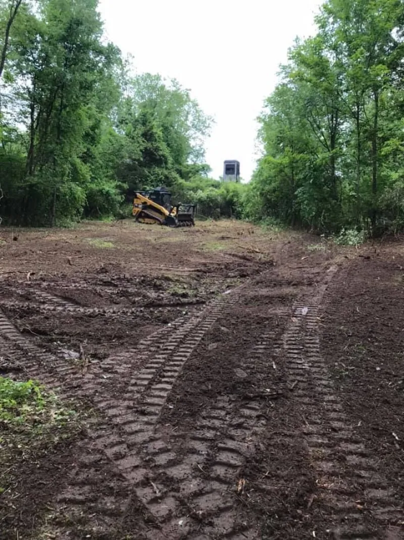 VanGordon Tree and Land Solutions crew performing land clearing in Howell Michigan