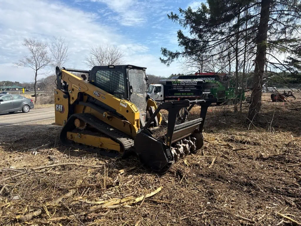 Tree Removal in Milford, MI | VanGordon